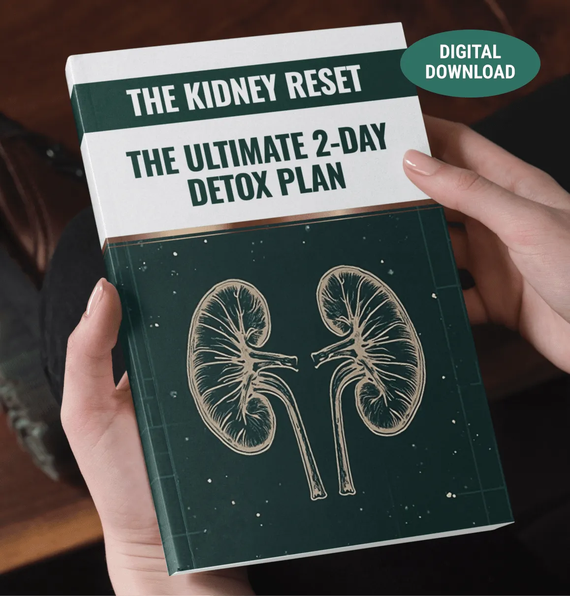 The Kidney Reset 2-Day Detox bonus guide